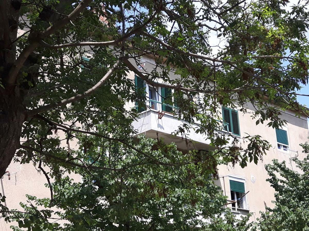 Apartment Sunny Place Zadar Luaran gambar